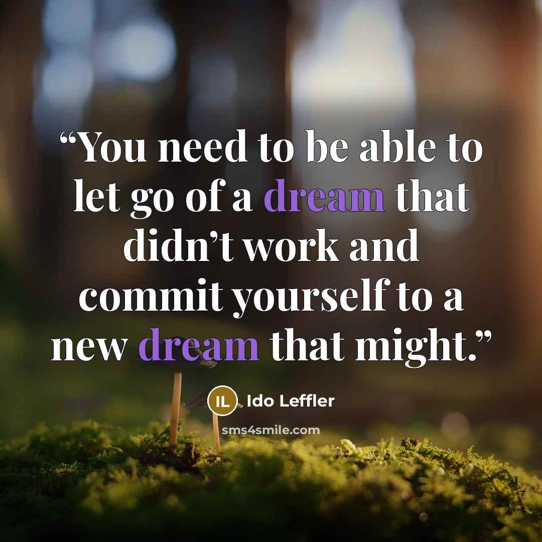 “You need to be able to let go of a dream that didn’t work and commit yourself to a new dream that might.” quote by Ido Leffler