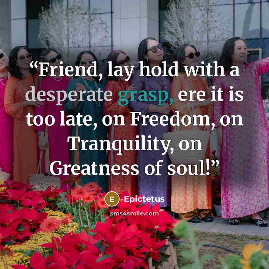 “Friend, lay hold with a desperate grasp, ere it is too late, on Freedom, on Tranquility, on Greatness of soul!” quote by Epictetus