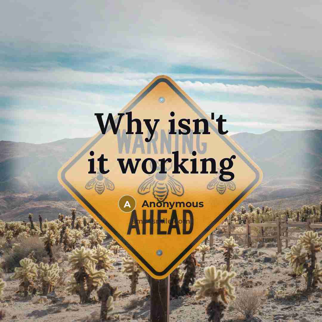 “Why isn't it working” quote by Anonymous