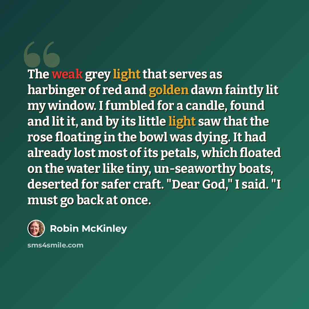 “The weak grey light that serves as harbinger of red and golden dawn faintly lit my window. I fumbled for a candle, found and lit it, and by its little light saw that the rose floating in the bowl was dying. It had already lost most of its petals, which floated on the water like tiny, un-seaworthy…” quote by Robin McKinley
