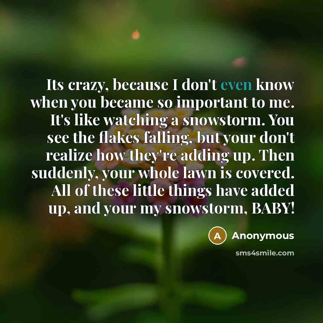 “Its crazy, because I don't even know when you became so important to me. It's like watching a snowstorm. You see the flakes falling, but your don't realize how they're adding up. Then suddenly, your whole lawn is covered. All of these little things have added up, and your my snowstorm, BABY!” quote by Anonymous