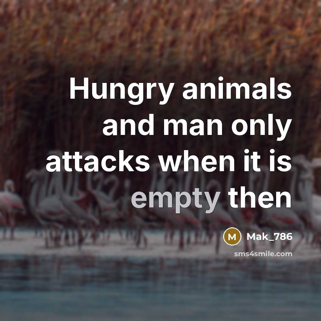 “Hungry animals and man only attacks when it is empty then” quote by Mak_786
