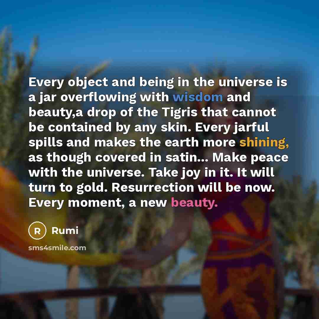 “Every object and being in the universe is a jar overflowing with wisdom and beauty,a drop of the Tigris that cannot be contained by any skin. Every jarful spills and makes the earth more shining, as though covered in satin... Make peace with the universe. Take joy in it. It will turn to gold…” quote by Rumi