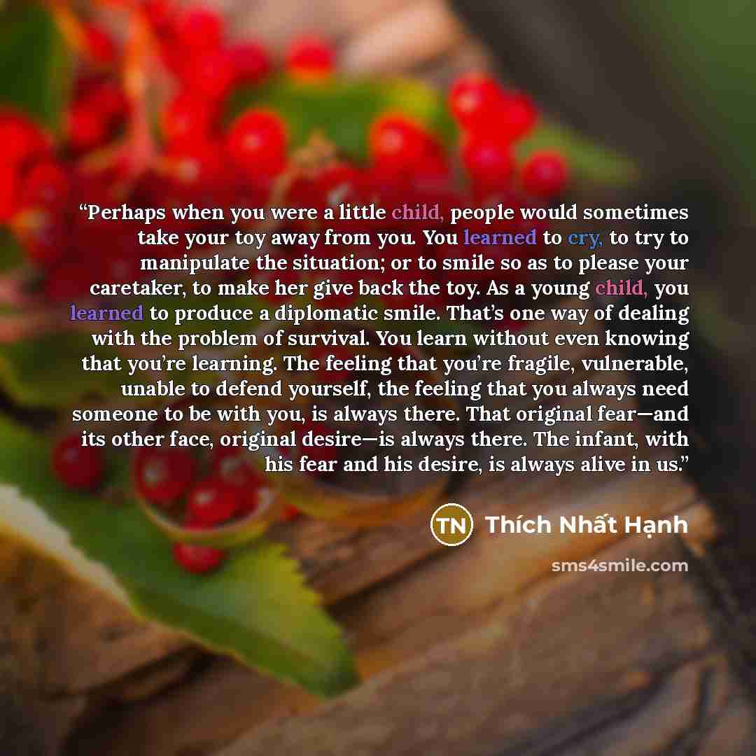 “Perhaps when you were a little child, people would sometimes take your toy away from you. You learned to cry, to try to manipulate the situation; or to smile so as to please your caretaker, to make her give back the toy. As a young child, you learned to produce a diplomatic smile. That’s one way…” quote by Thích Nhất Hạnh