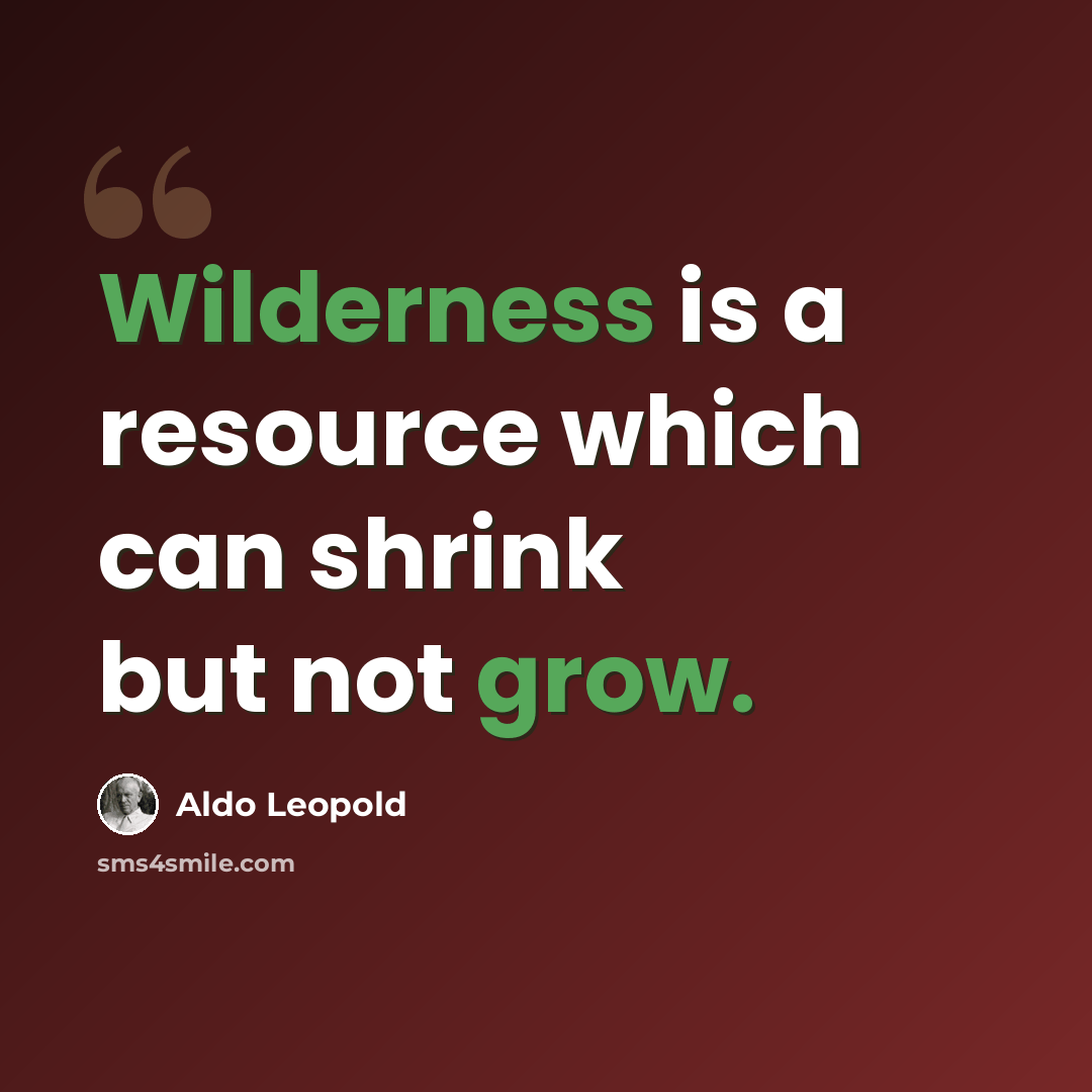 “Wilderness is a resource which can shrink but not grow.” quote by Aldo Leopold