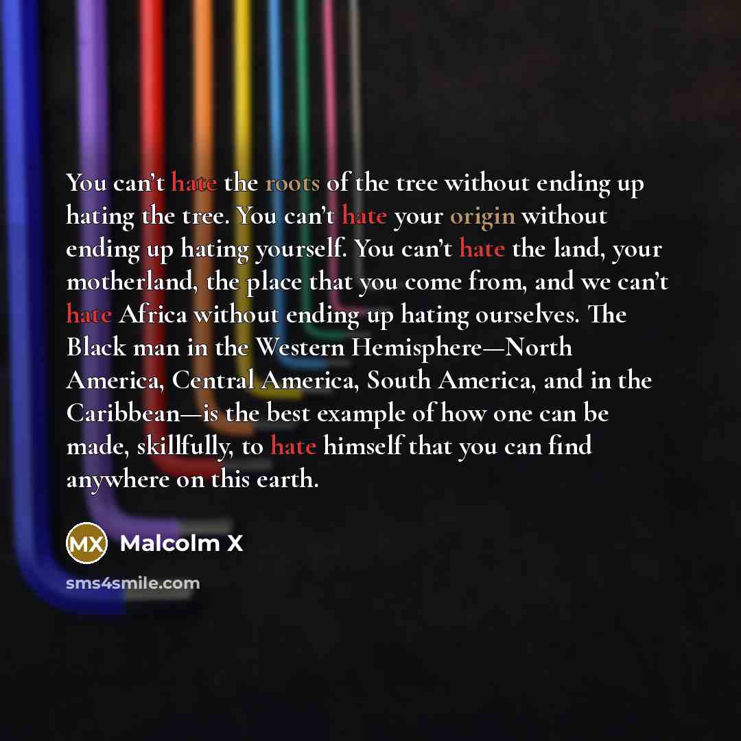 “You can’t hate the roots of the tree without ending up hating the tree. You can’t hate your origin without ending up hating yourself. You can’t hate the land, your motherland, the place that you come from, and we can’t hate Africa without ending up hating ourselves. The Black man in the Western…” quote by Malcolm X