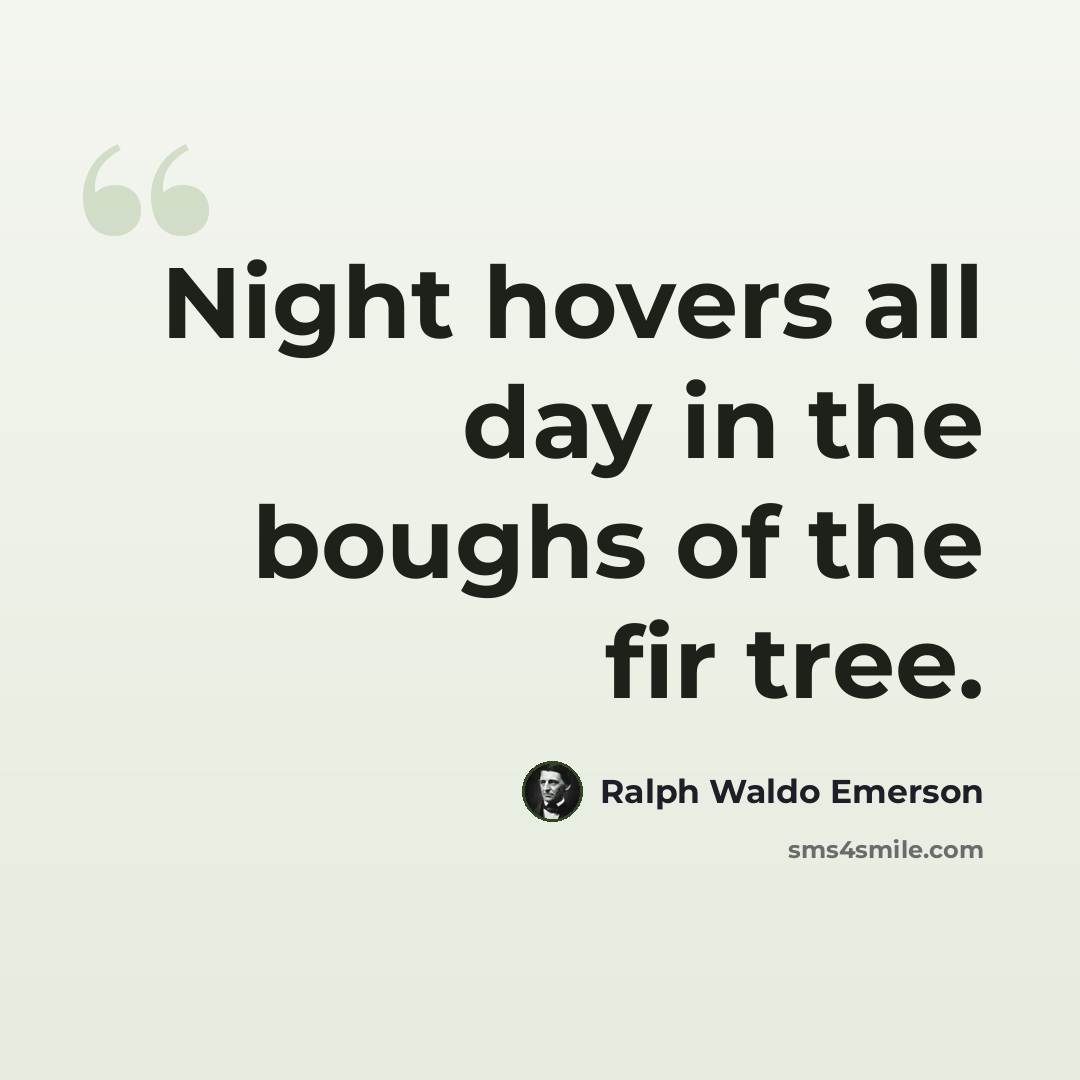 “Night hovers all day in the boughs of the fir tree.” quote by Ralph Waldo Emerson