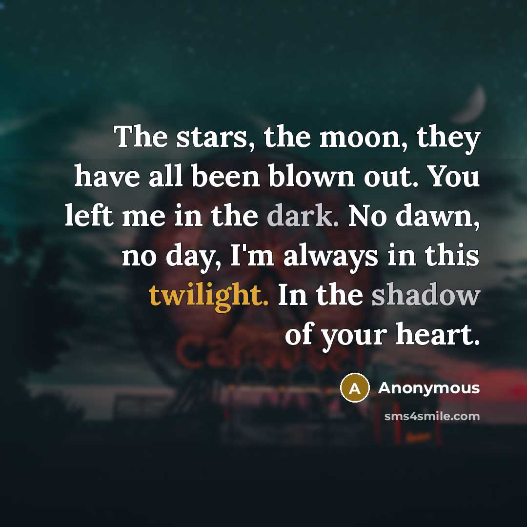 “The stars, the moon, they have all been blown out. You left me in the dark. No dawn, no day, I'm always in this twilight. In the shadow of your heart.” quote by Anonymous