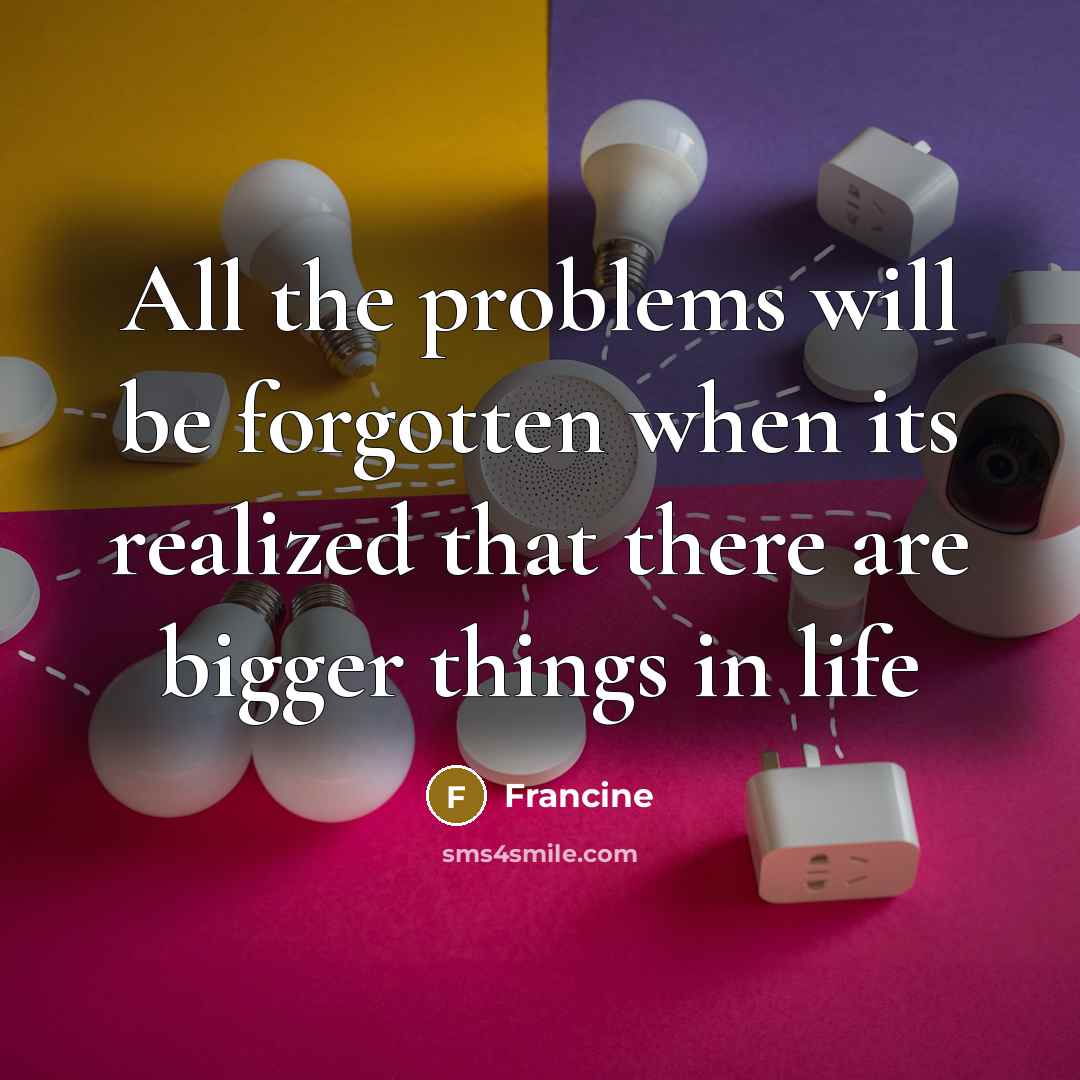 “All the problems will be forgotten when its realized that there are bigger things in life” quote by Francine