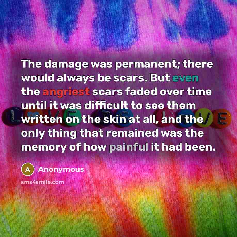 “The damage was permanent; there would always be scars. But even the angriest scars faded over time until it was difficult to see them written on the skin at all, and the only thing that remained was the memory of how painful it had been.” quote by Anonymous
