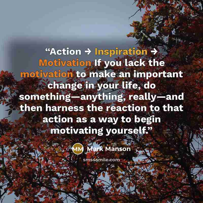 “Action → Inspiration → Motivation If you lack the motivation to make an important change in your life, do something—anything, really—and then harness the reaction to that action as a way to begin motivating yourself.” quote by Mark Manson