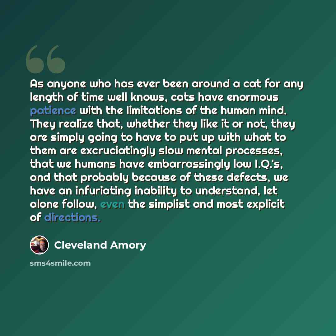 “As anyone who has ever been around a cat for any length of time well knows, cats have enormous patience with the limitations of the human mind. They realize that, whether they like it or not, they are simply going to have to put up with what to them are excruciatingly slow mental processes, that…” quote by Cleveland Amory
