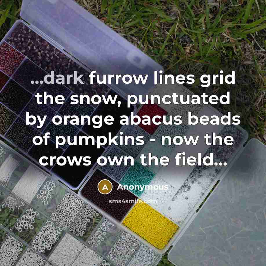 “...dark furrow lines grid the snow, punctuated by orange abacus beads of pumpkins - now the crows own the field...” quote by Anonymous