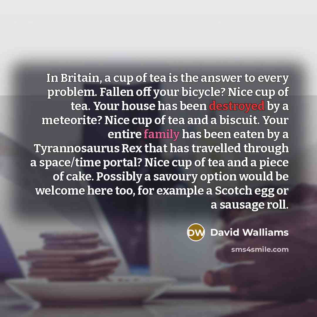 “In Britain, a cup of tea is the answer to every problem. Fallen off your bicycle? Nice cup of tea. Your house has been destroyed by a meteorite? Nice cup of tea and a biscuit. Your entire family has been eaten by a Tyrannosaurus Rex that has travelled through a space/time portal? Nice cup of tea…” quote by David Walliams