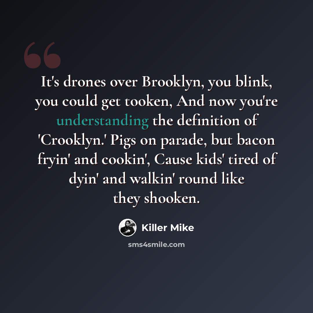“It's drones over Brooklyn, you blink, you could get tooken, And now you're understanding the definition of 'Crooklyn.' Pigs on parade, but bacon fryin' and cookin', Cause kids' tired of dyin' and walkin' round like they shooken.” quote by Killer Mike