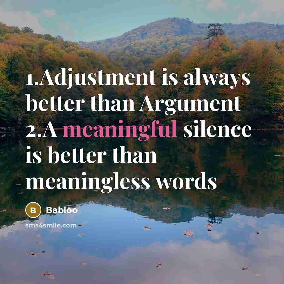 “1.Adjustment is always better than Argument 2.A meaningful silence is better than meaningless words” quote by Babloo