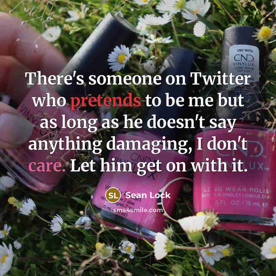 “There's someone on Twitter who pretends to be me but as long as he doesn't say anything damaging, I don't care. Let him get on with it.” quote by Sean Lock