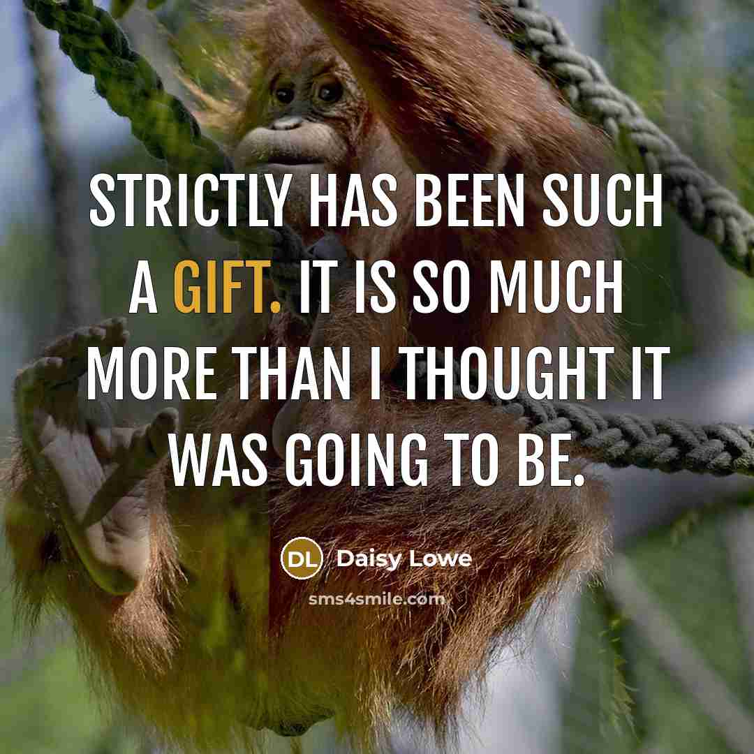 “Strictly has been such a gift. It is so much more than I thought it was going to be.” quote by Daisy Lowe