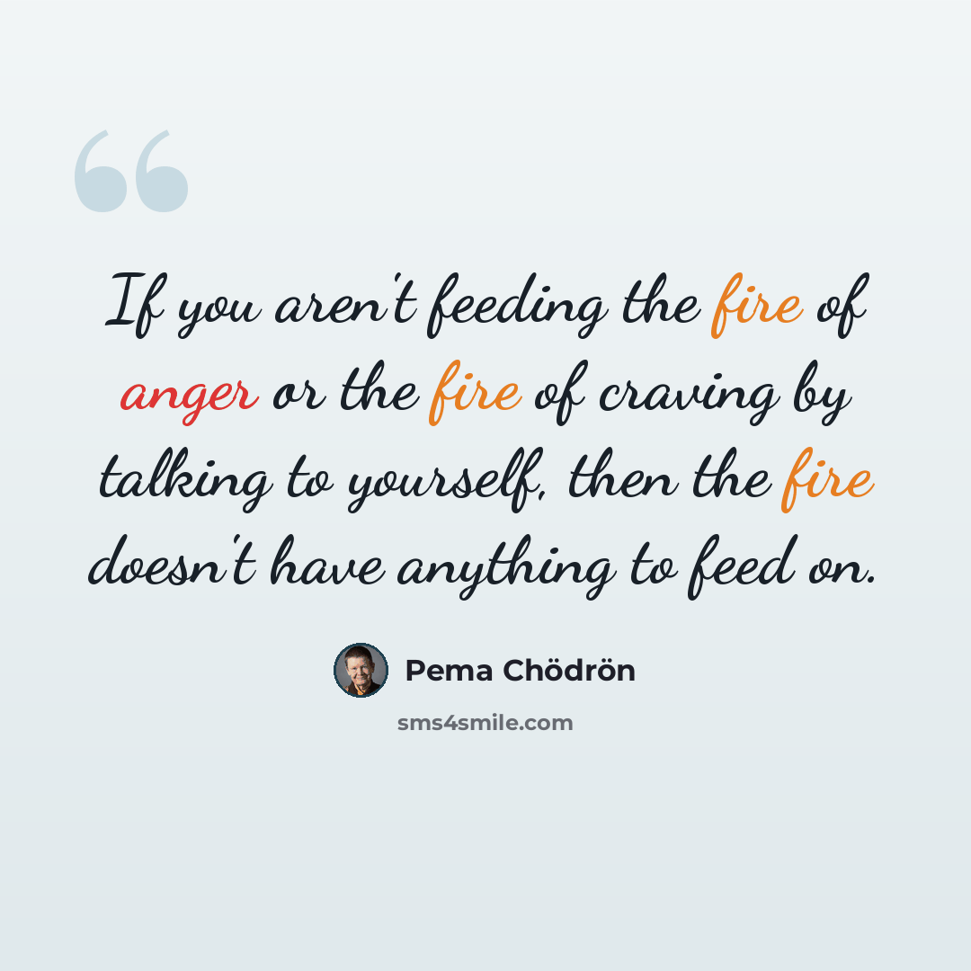 “If you aren't feeding the fire of anger or the fire of craving by talking to yourself, then the fire doesn't have anything to feed on.” quote by Pema Chodron