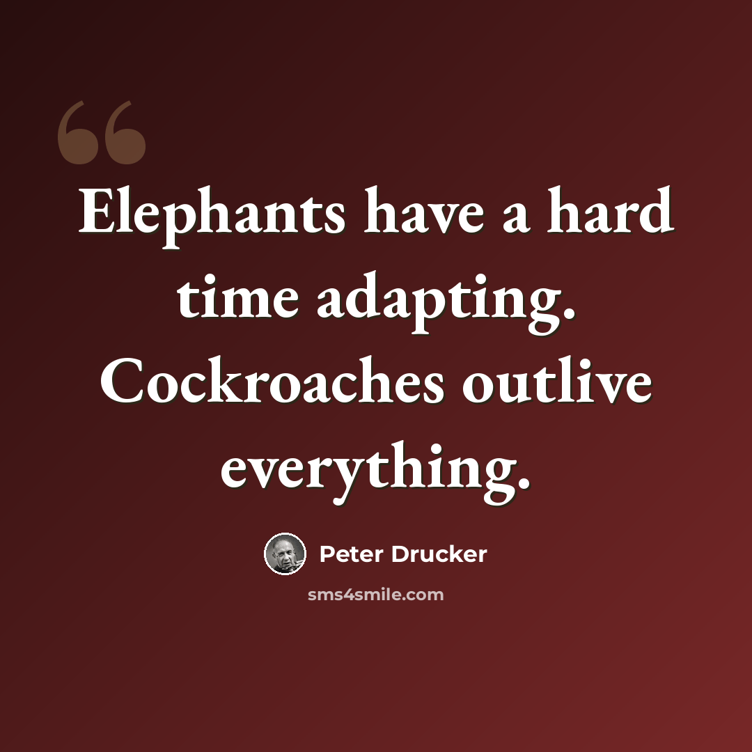 “Elephants have a hard time adapting. Cockroaches outlive everything.” quote by Peter Drucker
