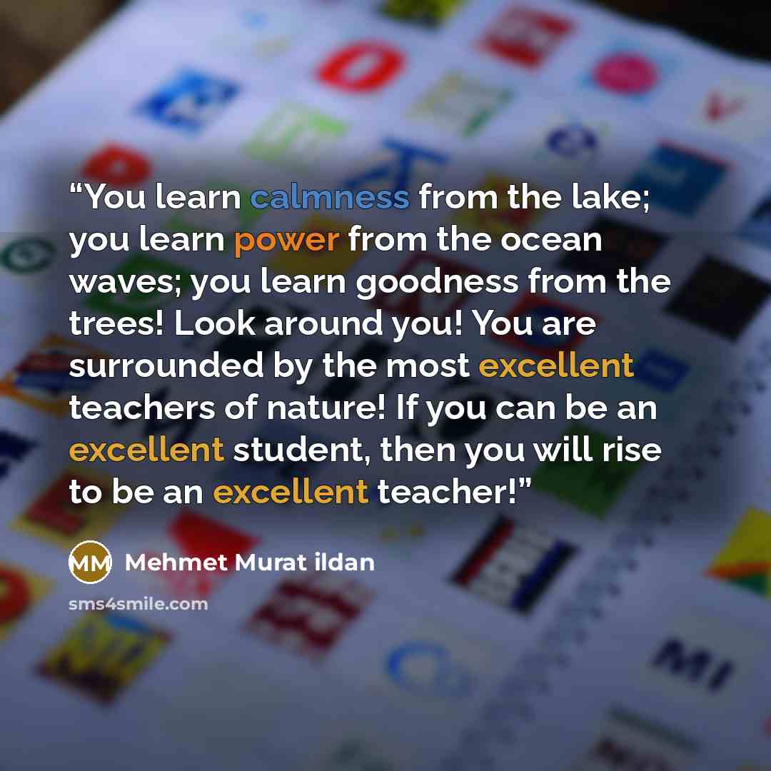 “You learn calmness from the lake; you learn power from the ocean waves; you learn goodness from the trees! Look around you! You are surrounded by the most excellent teachers of nature! If you can be an excellent student, then you will rise to be an excellent teacher!” quote by Mehmet Murat ildan