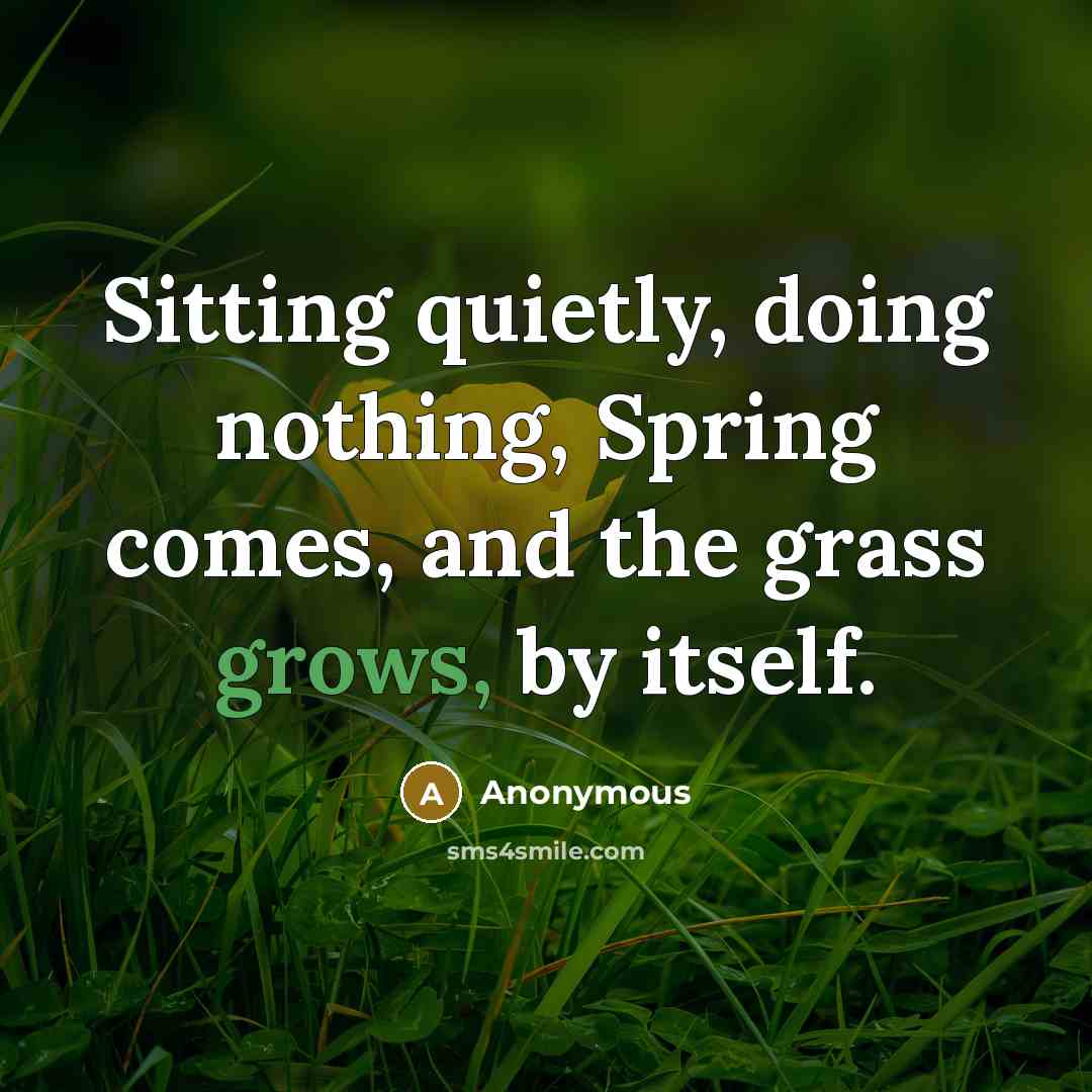 “Sitting quietly, doing nothing, Spring comes, and the grass grows, by itself.” quote by Anonymous