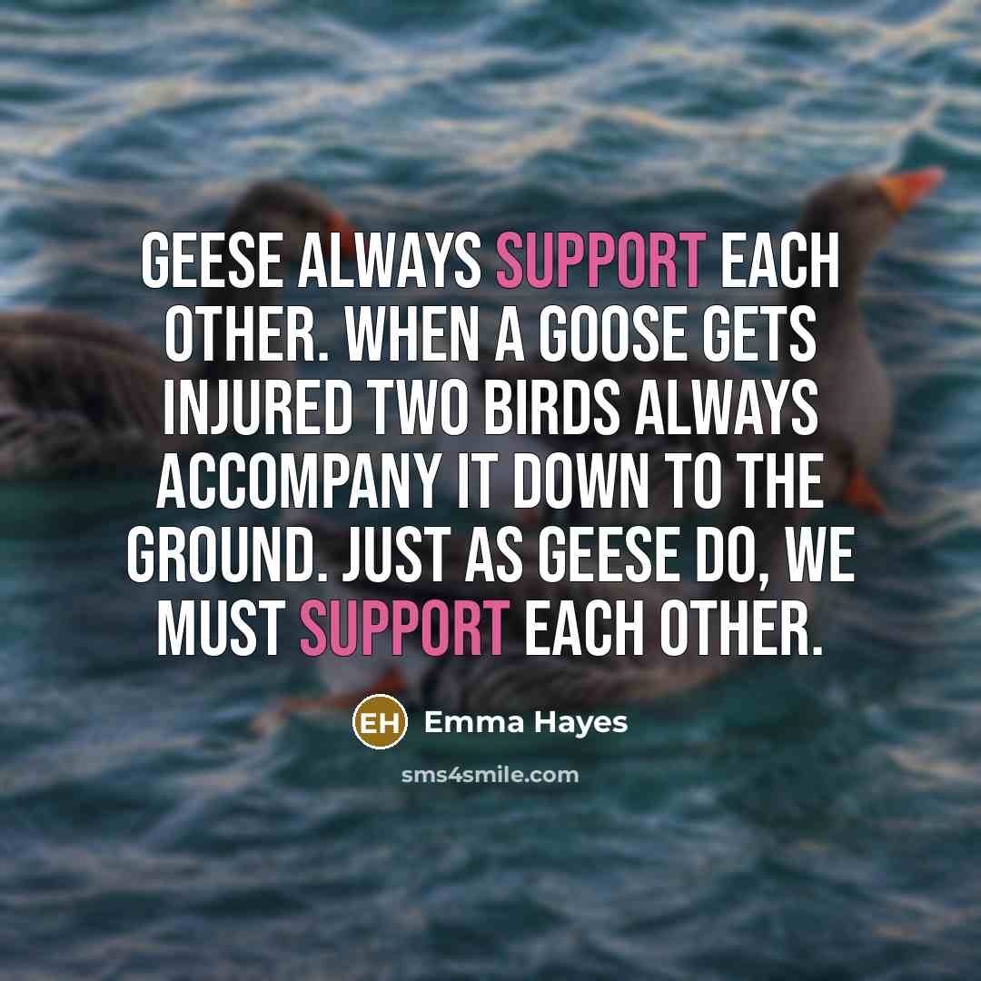 “Geese always support each other. When a goose gets injured two birds always accompany it down to the ground. Just as geese do, we must support each other.” quote by Emma Hayes