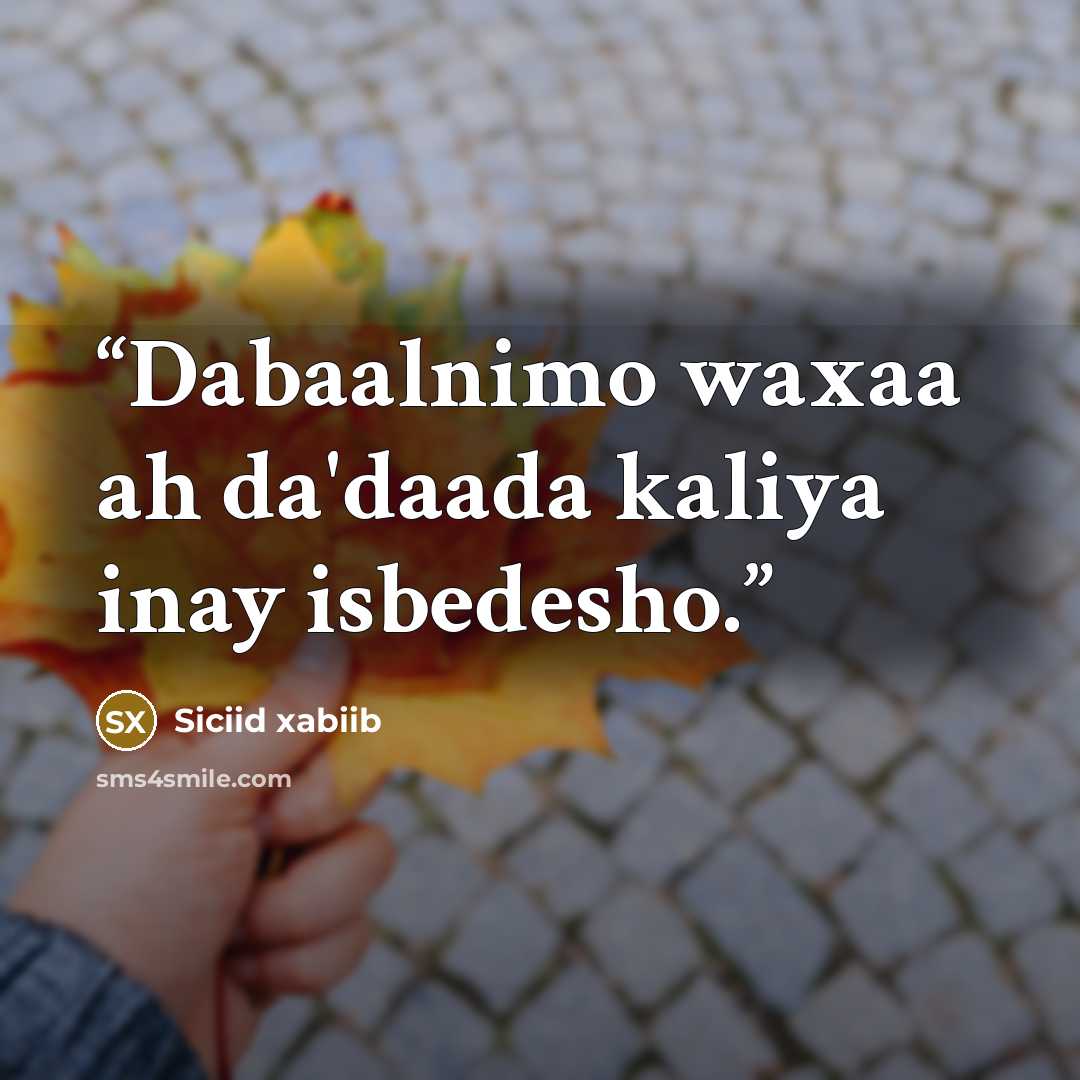 “Dabaalnimo waxaa ah da'daada kaliya inay isbedesho.” quote by Siciid xabiib