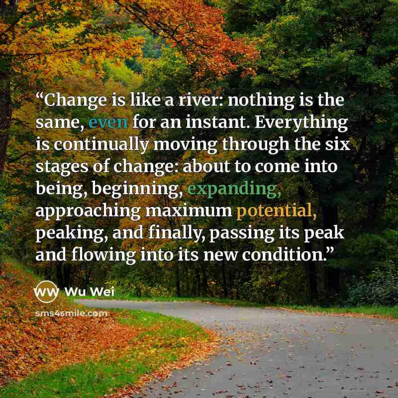“Change is like a river: nothing is the same, even for an instant. Everything is continually moving through the six stages of change: about to come into being, beginning, expanding, approaching maximum potential, peaking, and finally, passing its peak and flowing into its new condition.” quote by Wu Wei