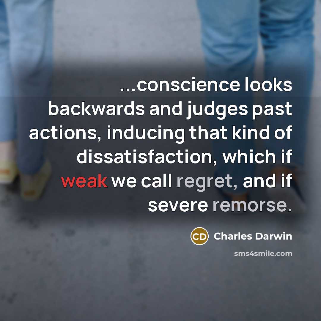 “...conscience looks backwards and judges past actions, inducing that kind of dissatisfaction, which if weak we call regret, and if severe remorse.” quote by Charles Darwin