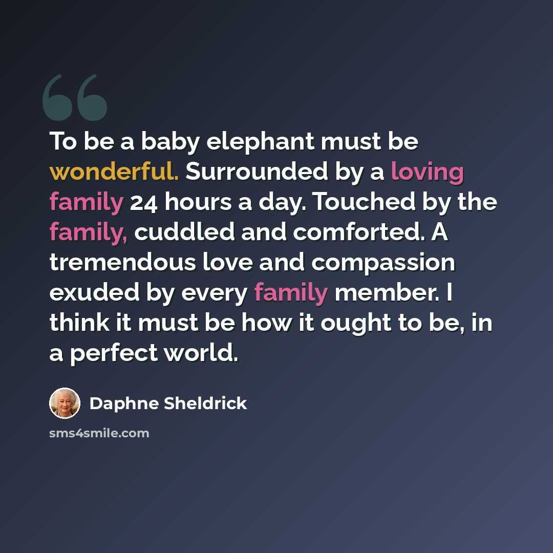 “To be a baby elephant must be wonderful. Surrounded by a loving family 24 hours a day. Touched by the family, cuddled and comforted. A tremendous love and compassion exuded by every family member. I think it must be how it ought to be, in a perfect world.” quote by Daphne Sheldrick