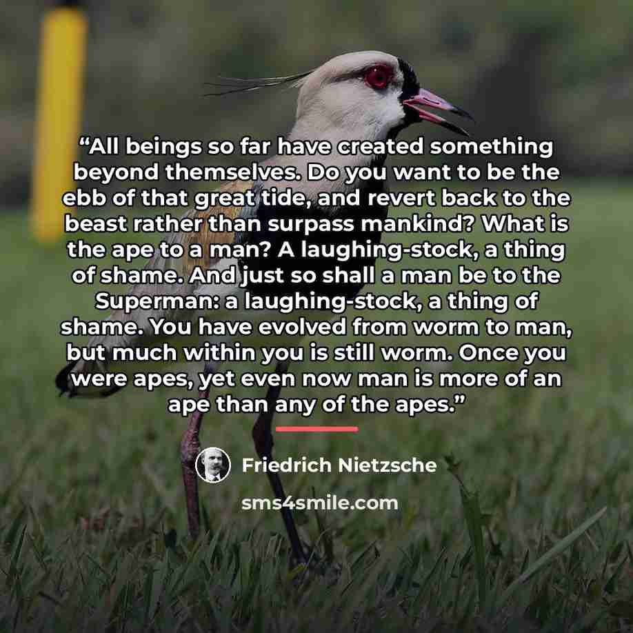 “All beings so far have created something beyond themselves. Do you want to be the ebb of that great tide, and revert back to the beast rather than surpass mankind? What is the ape to a man? A laughing-stock, a thing of shame. And just so shall a man be to the Superman: a laughing-stock, a thing of…” quote by Friedrich Nietzsche