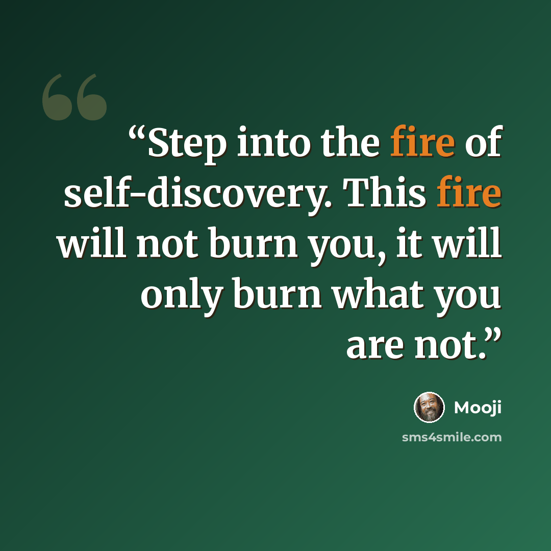 “Step into the fire of self-discovery. This fire will not burn you, it will only burn what you are not.” quote by Mooji