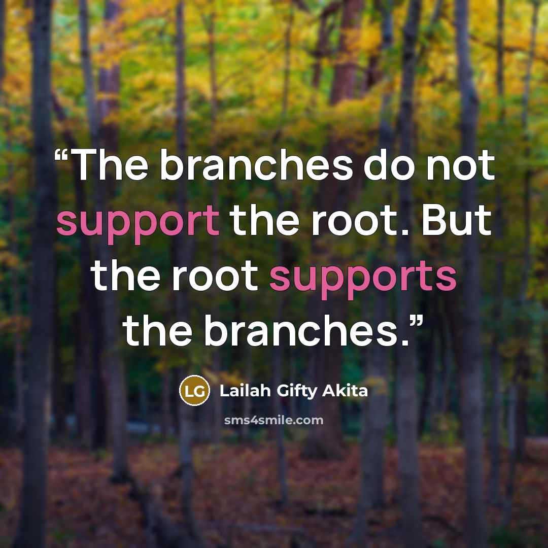 “The branches do not support the root. But the root supports the branches.” quote by Lailah Gifty Akita