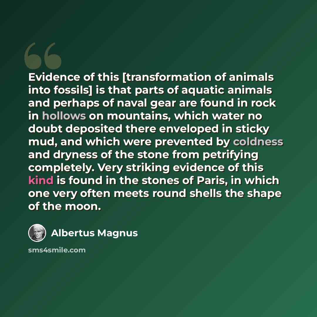“Evidence of this [transformation of animals into fossils] is that parts of aquatic animals and perhaps of naval gear are found in rock in hollows on mountains, which water no doubt deposited there enveloped in sticky mud, and which were prevented by coldness and dryness of the stone from…” quote by Albertus Magnus