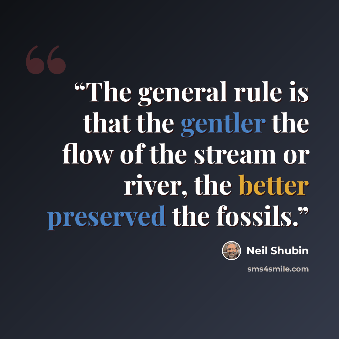 “The general rule is that the gentler the flow of the stream or river, the better preserved the fossils.” quote by Neil Shubin