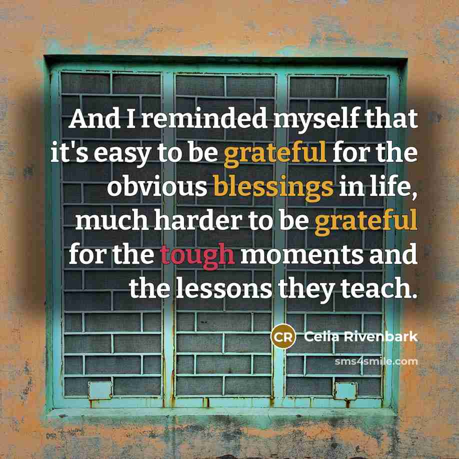 “And I reminded myself that it's easy to be grateful for the obvious blessings in life, much harder to be grateful for the tough moments and the lessons they teach.” quote by Celia Rivenbark