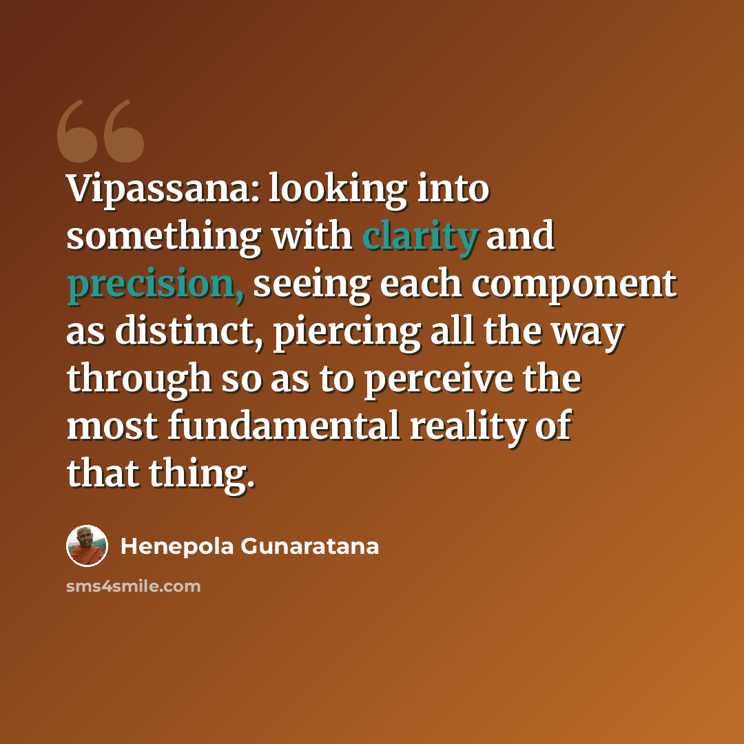 “Vipassana: looking into something with clarity and precision, seeing each component as distinct, piercing all the way through so as to perceive the most fundamental reality of that thing.” quote by Henepola Gunaratana