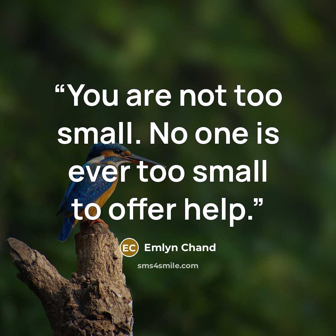 “You are not too small. No one is ever too small to offer help.” quote by Emlyn Chand