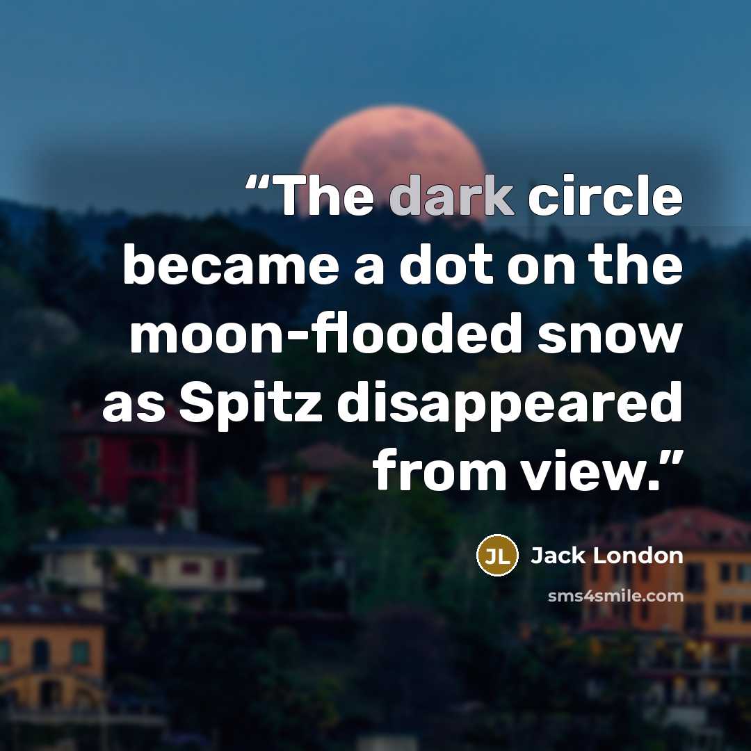 “The dark circle became a dot on the moon-flooded snow as Spitz disappeared from view.” quote by Jack London