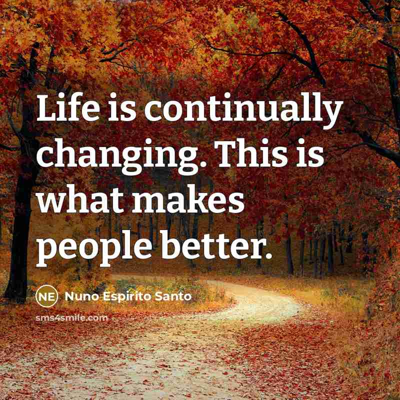 “Life is continually changing. This is what makes people better.” quote by Nuno Espirito Santo