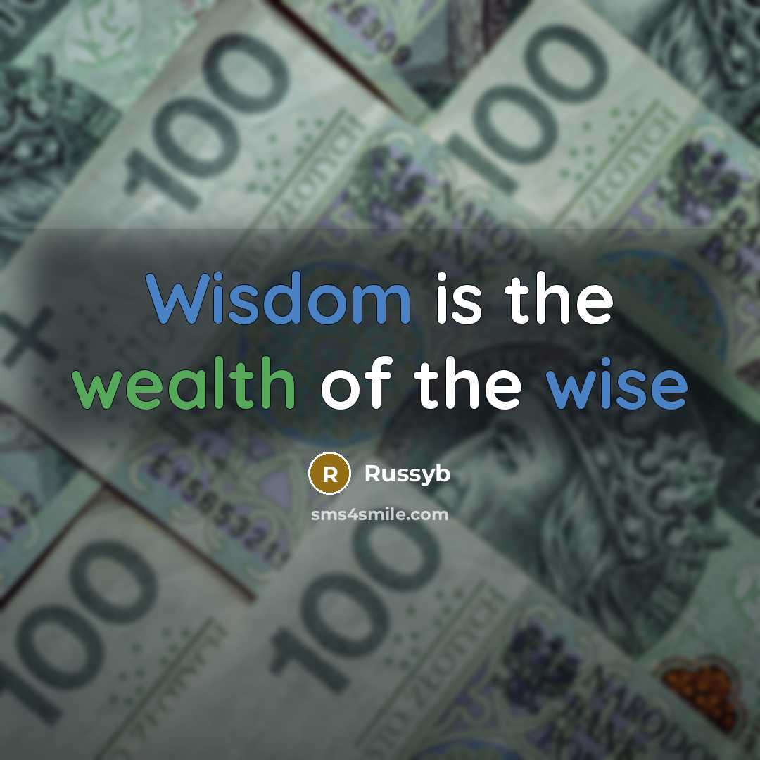“Wisdom is the wealth of the wise” quote by Russyb