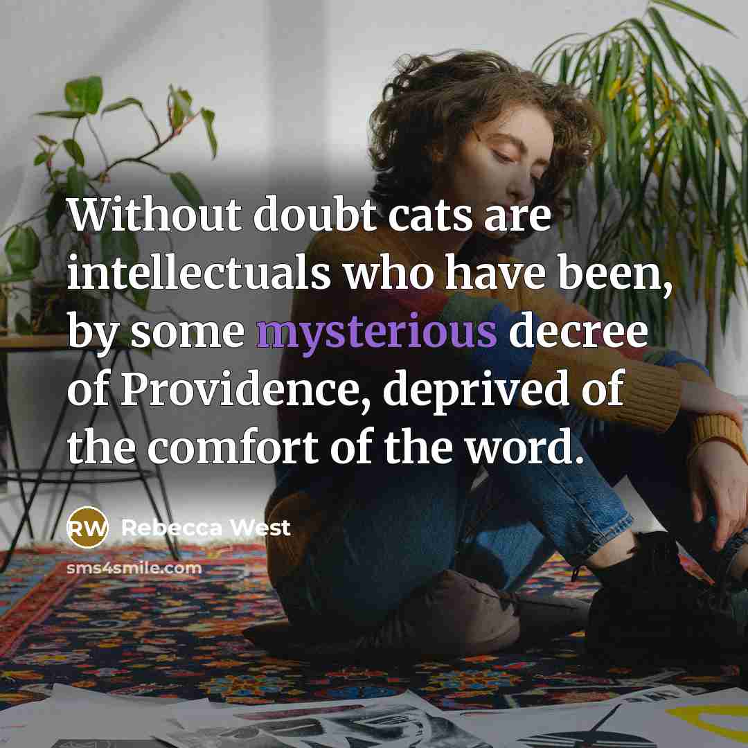 “Without doubt cats are intellectuals who have been, by some mysterious decree of Providence, deprived of the comfort of the word.” quote by Rebecca West
