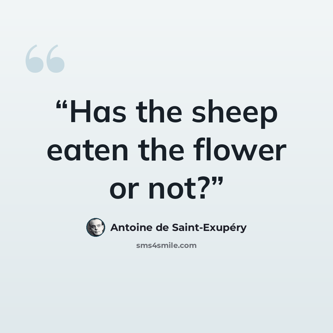 “Has the sheep eaten the flower or not?” quote by Antoine de Saint-Exupéry