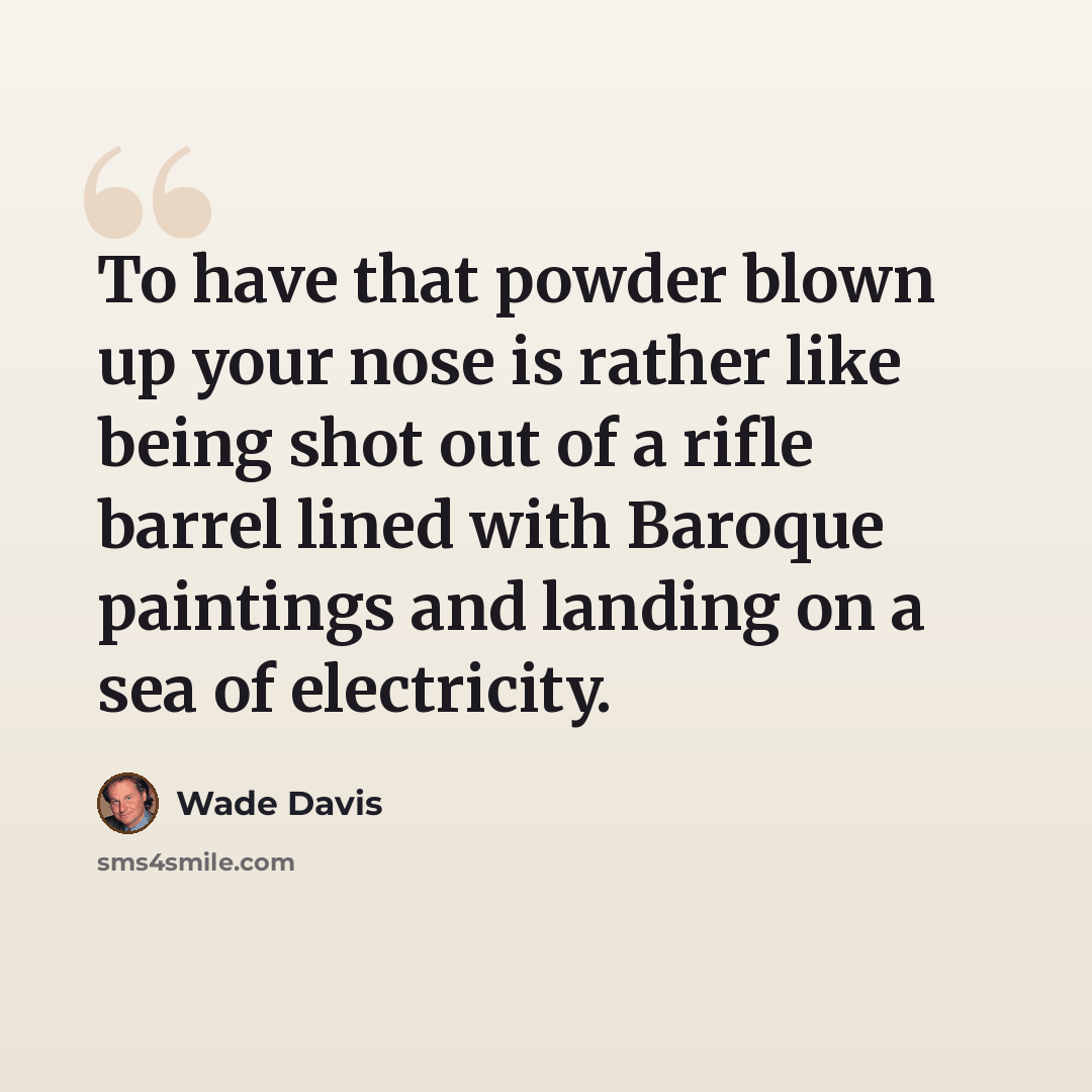 “To have that powder blown up your nose is rather like being shot out of a rifle barrel lined with Baroque paintings and landing on a sea of electricity.” quote by Wade Davis