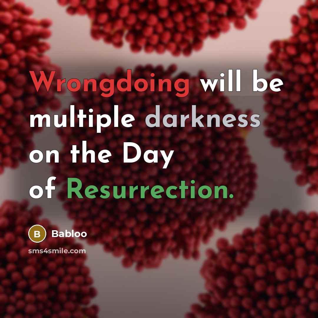 “Wrongdoing will be multiple darkness on the Day of Resurrection.” quote by Babloo