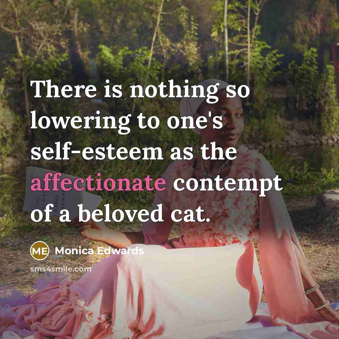“There is nothing so lowering to one's self-esteem as the affectionate contempt of a beloved cat.” quote by Monica Edwards