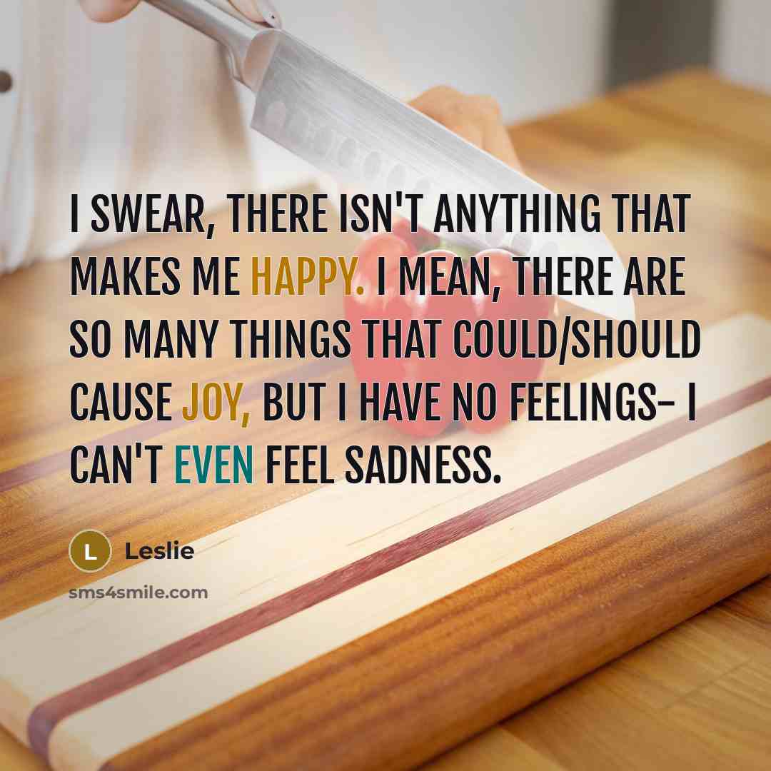 “I swear, there isn't anything that makes me happy. I mean, there are so many things that COULD/SHOULD cause joy, but I have no feelings- I can't even feel sadness.” quote by Leslie