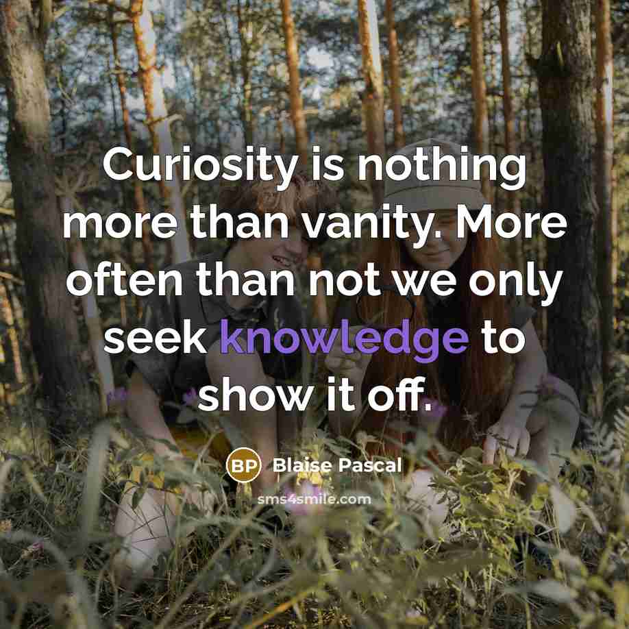 “Curiosity is nothing more than vanity. More often than not we only seek knowledge to show it off.” quote by Blaise Pascal