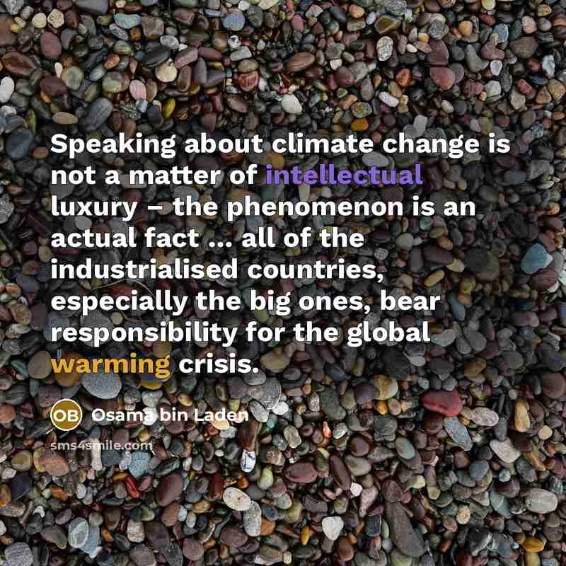 “Speaking about climate change is not a matter of intellectual luxury – the phenomenon is an actual fact … all of the industrialised countries, especially the big ones, bear responsibility for the global warming crisis.” quote by Osama bin Laden